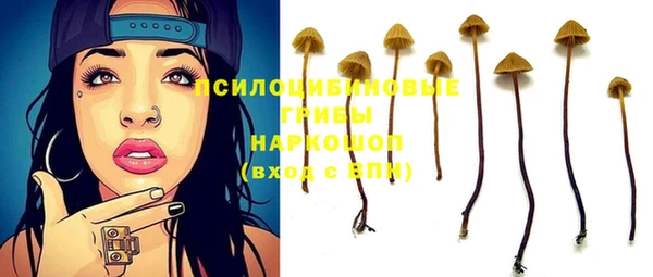 ГАЛЛЮЦИНОГЕННЫЕ ГРИБЫ Пересвет