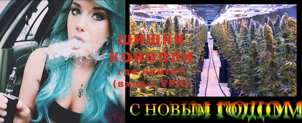 ГАЛЛЮЦИНОГЕННЫЕ ГРИБЫ Пересвет