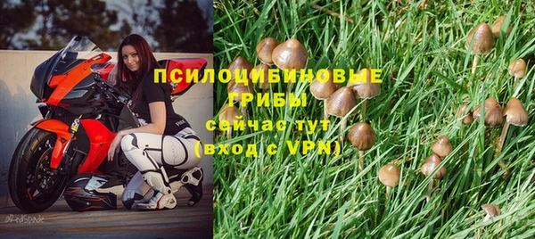 COCAINE Пестово