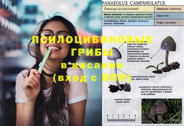 ГАЛЛЮЦИНОГЕННЫЕ ГРИБЫ Пересвет