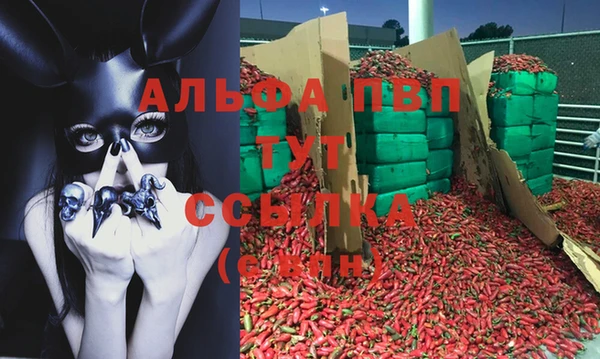 ГАЛЛЮЦИНОГЕННЫЕ ГРИБЫ Пересвет