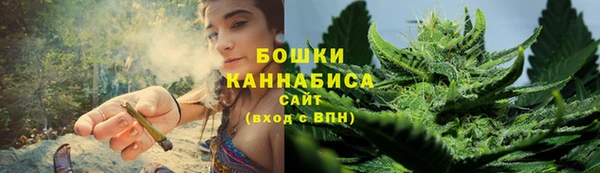 ГАЛЛЮЦИНОГЕННЫЕ ГРИБЫ Пересвет